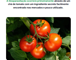Tomates frescos en el huerto